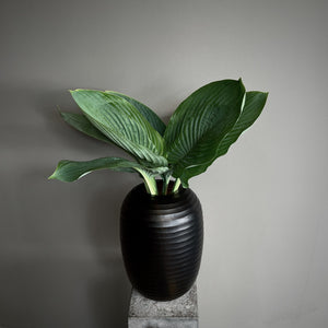 
                  
                    Organic vase
                  
                